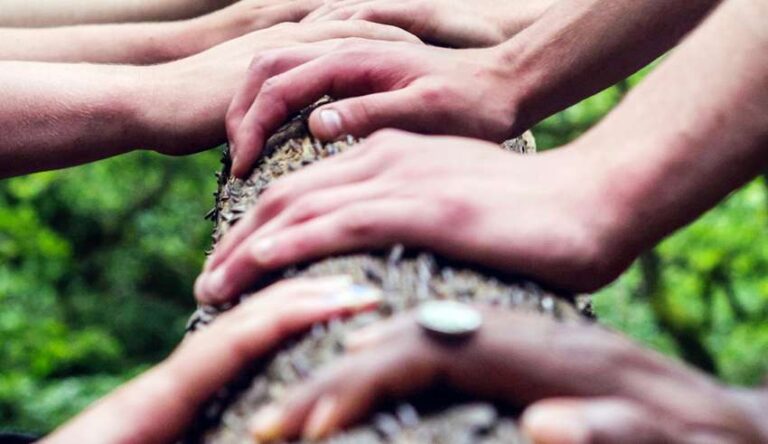 Αλληλεγγύη στο περιβάλλον